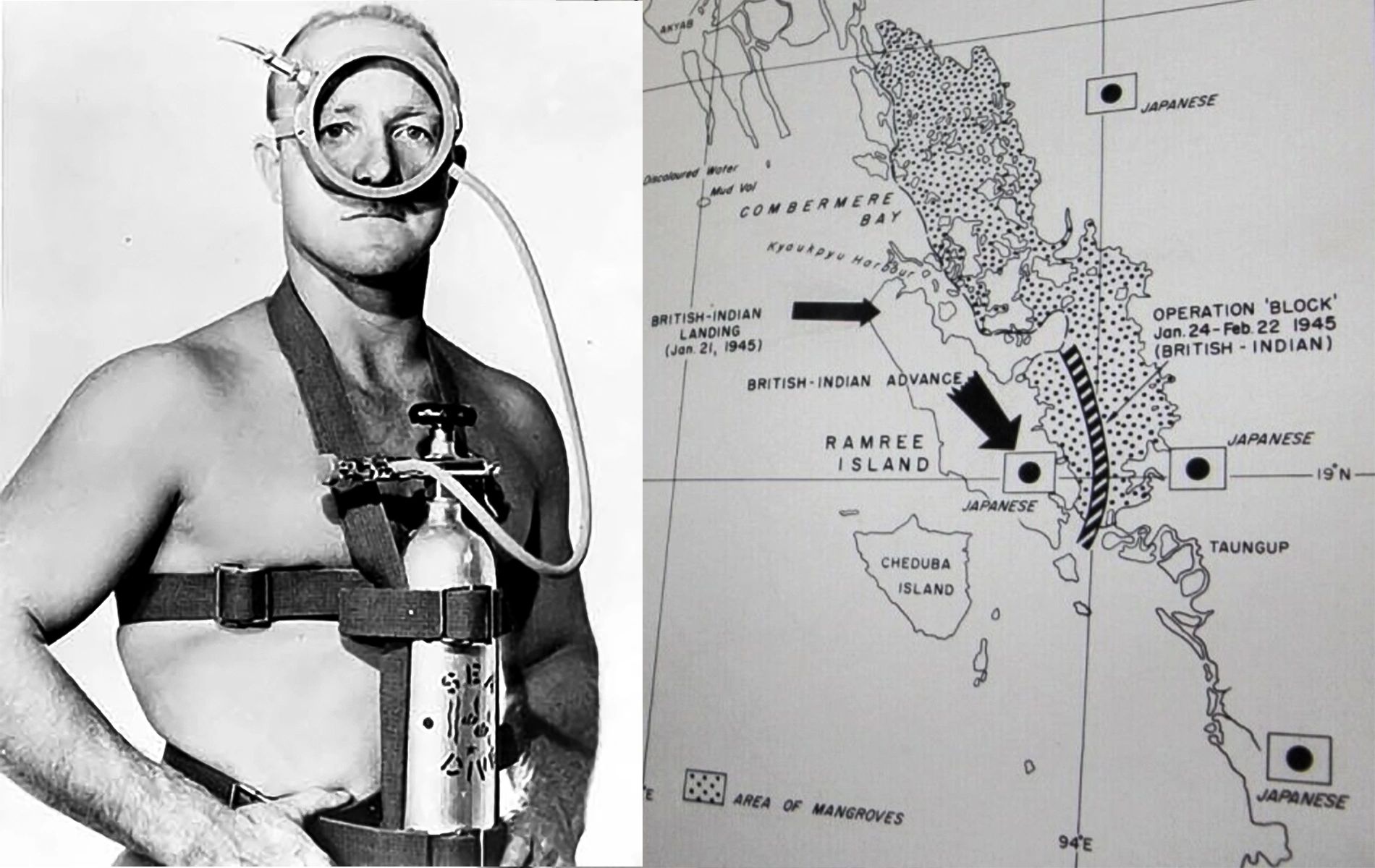 Frederictonian Bruce Wright’s (left) idle daydreaming during the Second World War led to the creation of the Sea Reconnaissance Unit, the pioneering unit of divers better known as The Frogmen of Burma. While serving in Asia, he got wrapped up in the harrowing events that are described by the Guinness Book of World Records as the largest ever animal attack on humans. (Provincial Archives of New Brunswick)