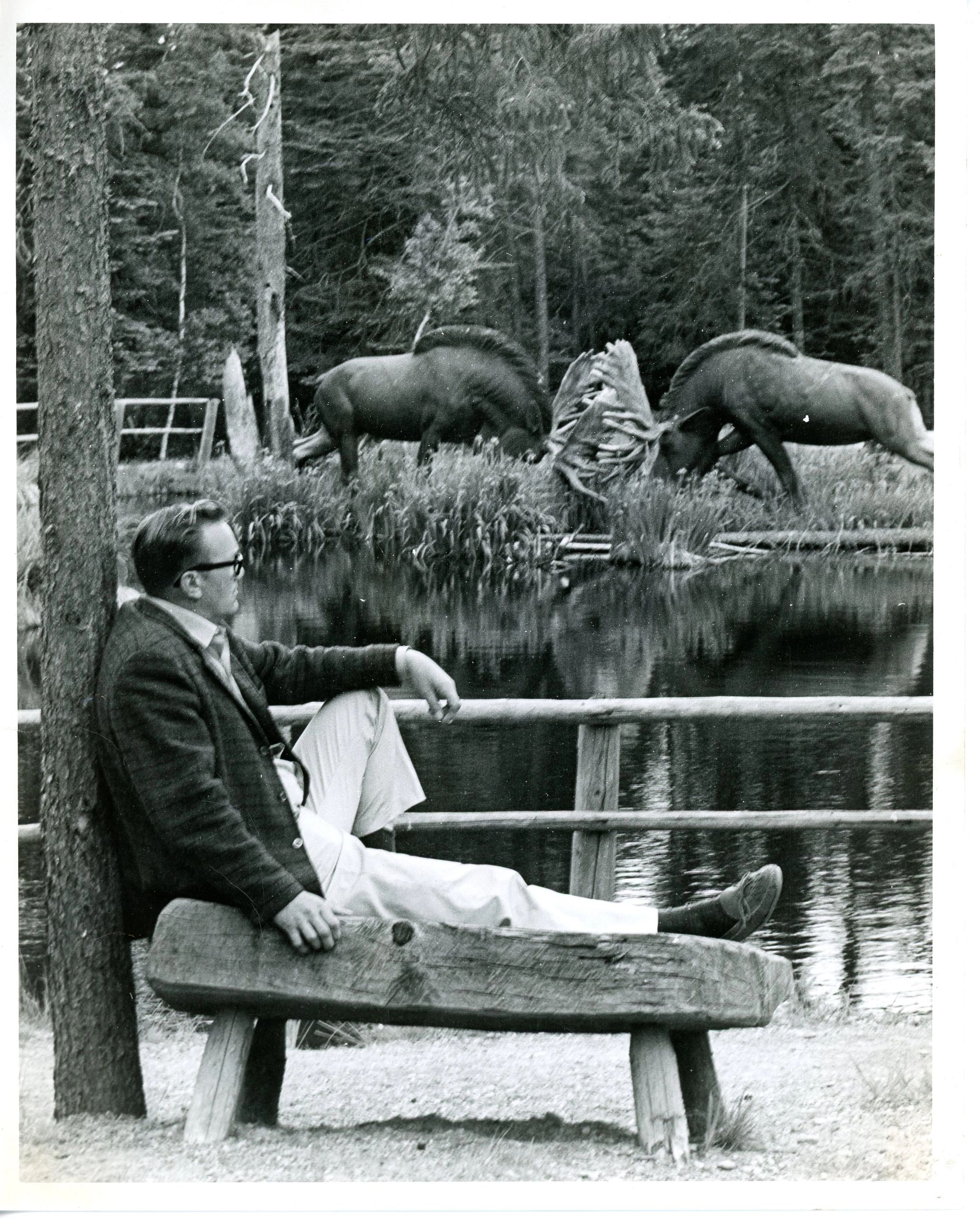 Artist Winston Bronnum posing for a photo at Animaland, taken by reporter Jackie Webster. In the background are two lifelike concrete moose he built. (Provincial Archives of New Brunswick MC3540-MS16C002)